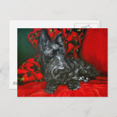Carte Postale Haggis the Scottish Terrier (Devant / Derrière)