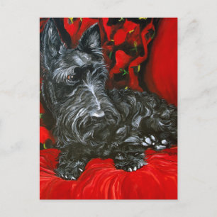 Carte Postale Haggis the Scottish Terrier