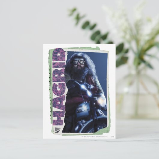 Carte Postale Hagrid (Debout devant)