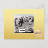 CARTE POSTALE HAI MOM ! ! ! (Devant)