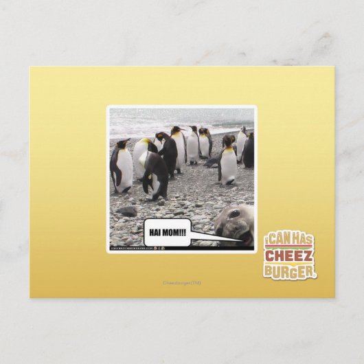 CARTE POSTALE HAI MOM ! ! ! (Devant)