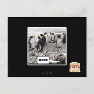 CARTE POSTALE HAI MOM ! ! !