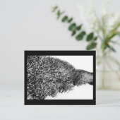 Carte Postale haie d'hiver (Debout devant)