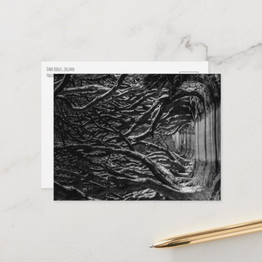 Carte Postale Haies sombres Irlande (Devant/Arrière en situation)