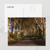 Carte Postale Haies sombres Irlande (Devant / Derrière)