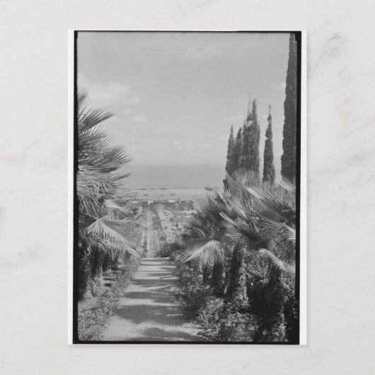 Carte Postale Haïfa - du mont Carmel, années 1920 (Devant)