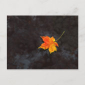 Carte postale Haiku (Devant)