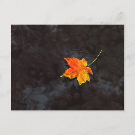 Carte postale Haiku (Devant)