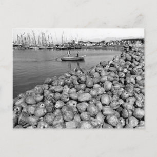 Carte Postale Haïti Port Au Prince