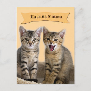 Carte postale Hakuna Matata Kitten