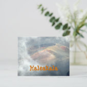 CARTE POSTALE "HALEAKALA IN THE CLOUDS" (Debout devant)