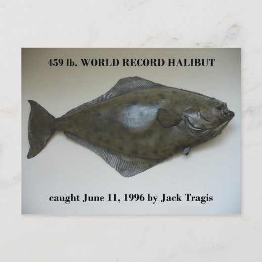 Carte Postale Halibut du record du monde capturé à Dutch Harbour (Devant)