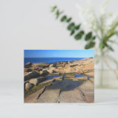 Carte Postale Halibut Point Tide Pool Rockport Cape Ann (Debout devant)