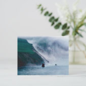 Carte Postale Hall Island, mer de Béring, 1997 (Debout devant)