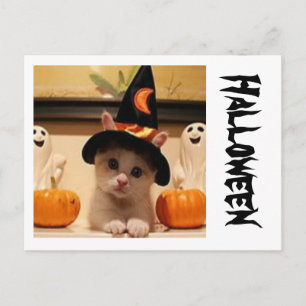Carte postale Halloween
