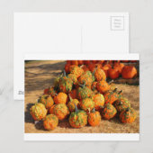 Carte Postale Halloween (Devant / Derrière)
