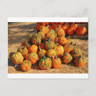 Carte Postale Halloween