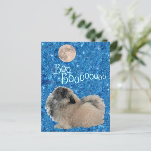 Carte Postale Halloween (Debout devant)