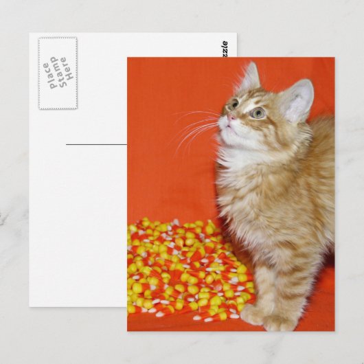 Carte Postale Halloween (Devant / Derrière)