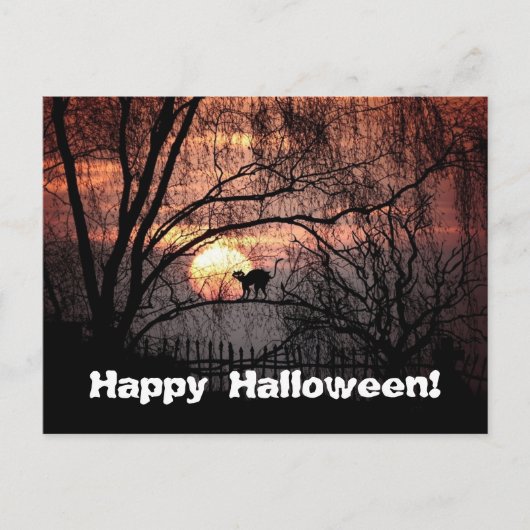 Carte Postale Halloween (Devant)