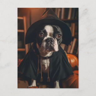 Carte Postale Halloween Boston Terrier