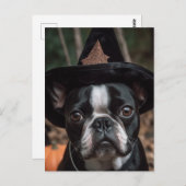 Carte postale Halloween Boston Terrier (Devant / Derrière)