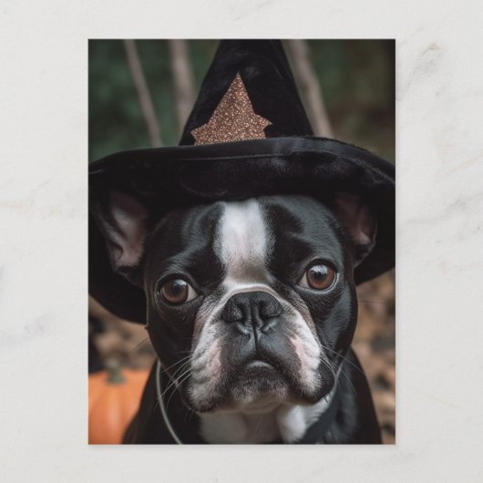 Carte postale Halloween Boston Terrier (Devant)