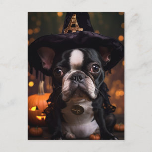 Carte Postale Halloween Boston Terrier