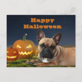 Carte Postale Halloween Bouledogue français Bulldog français (Devant)