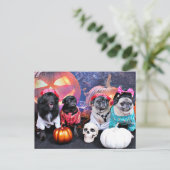 Carte Postale Halloween - Carlin - Bruno Pearl Bear Mme Wiggens (Debout devant)