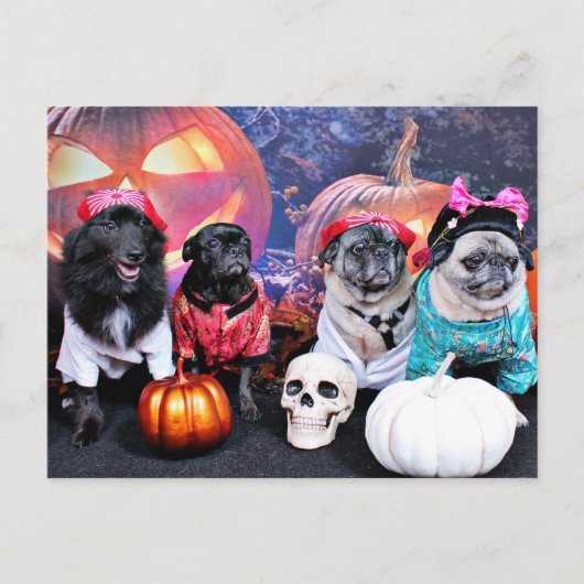 Carte Postale Halloween - Carlin - Bruno Pearl Bear Mme Wiggens (Devant)