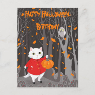 Carte Postale     Halloween Chaton Mignon & Citrouille Jack-o’-l
