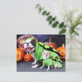 Carte Postale Halloween Chien-Chien-Chien Spike - Chihuahua Gizm (Debout devant)
