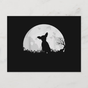 Carte Postale Halloween Chihuahua Costume cadeau Lune Drôle