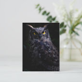Carte Postale Halloween chouette effrayante (Debout devant)