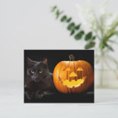 Carte Postale Halloween citrouille et chat noir (Debout devant)