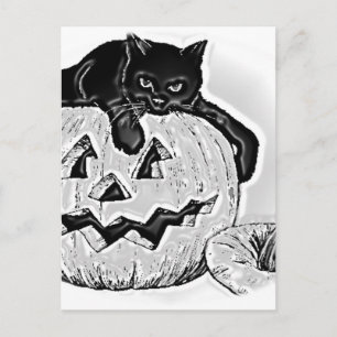 Carte Postale Halloween Citrouille orange noir chat