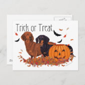 Carte Postale Halloween Dachshunds (Devant / Derrière)