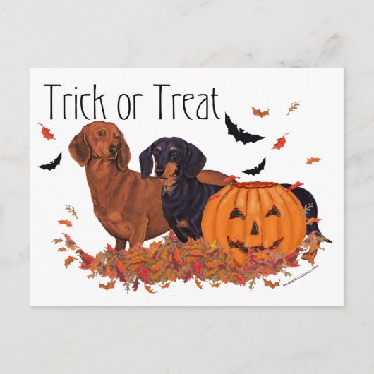 Carte Postale Halloween Dachshunds (Devant)