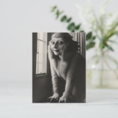 Carte postale Halloween d'animal de compagnie étra (Debout devant)