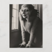 Carte postale Halloween d'animal de compagnie étra (Devant)