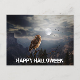 Carte Postale Halloween de la Chouette éffrayante et de la Plein