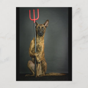 Carte Postale halloween dog- devil