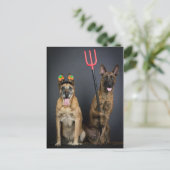 Carte Postale Halloween dogs (Debout devant)