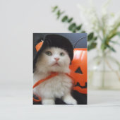 Carte Postale Halloween d'un chat (Debout devant)