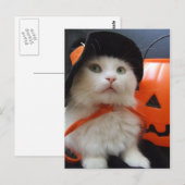 Carte Postale Halloween d'un chat (Devant / Derrière)