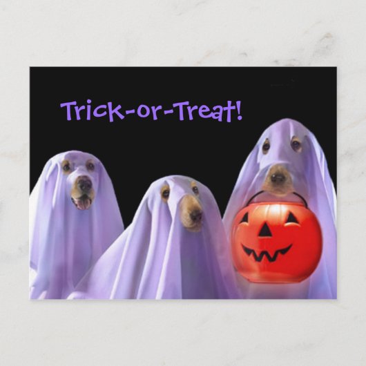 Carte postale Halloween Ghost Dogs Trick or Treati (Devant)