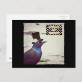Carte Postale Halloween Grackle (Devant / Derrière)