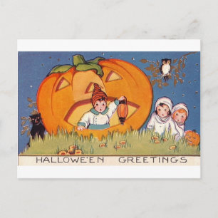 Carte Postale Halloween Greeting Kids, Citrouille, hibou
