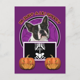 Carte Postale Halloween - Just a Lil Spooky - Boston Terrier